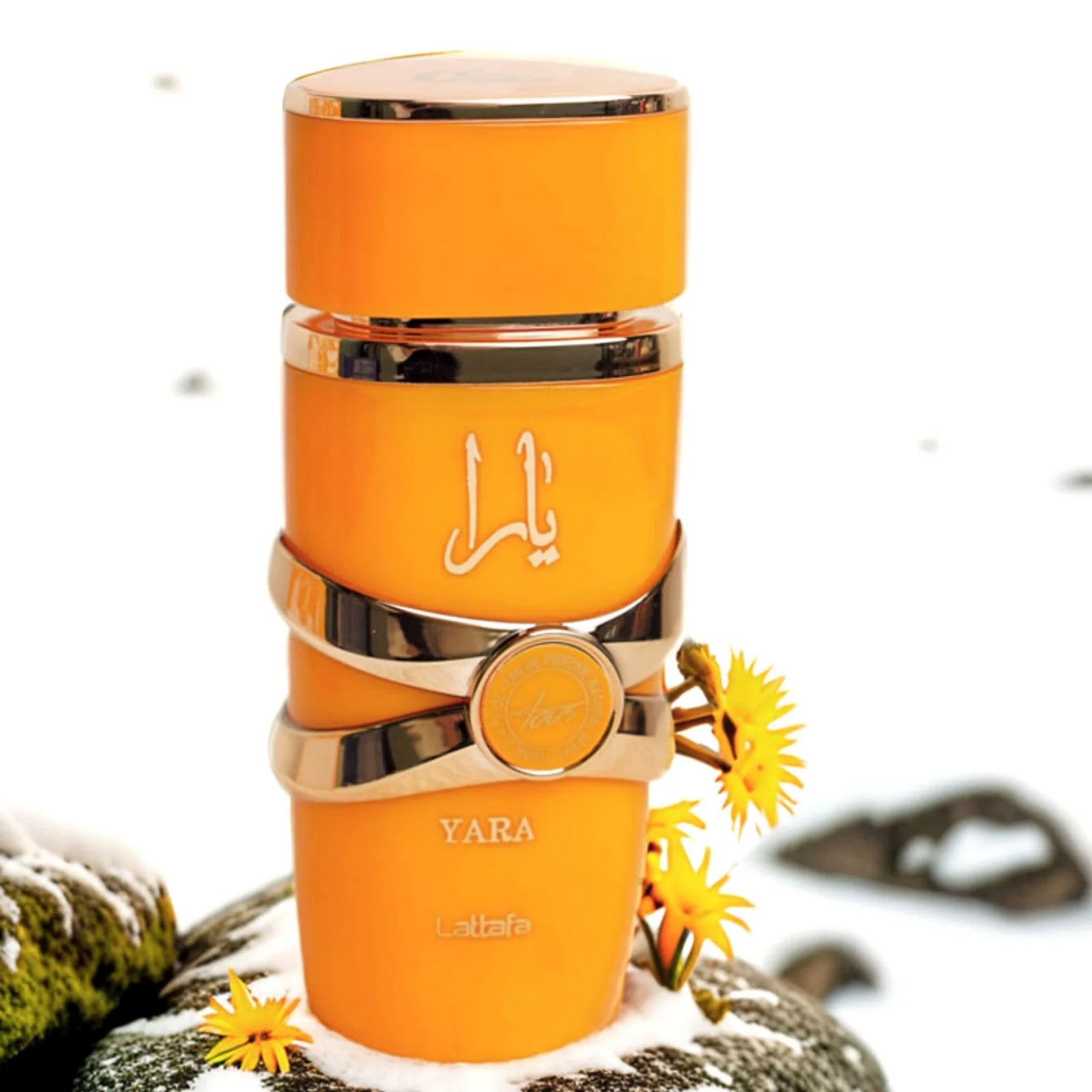 Lattafa Yara Tous Eau de Parfum spray for women, elegant spicy fragrance, warm notes, 3.4-ounce bottle perfect for gifting