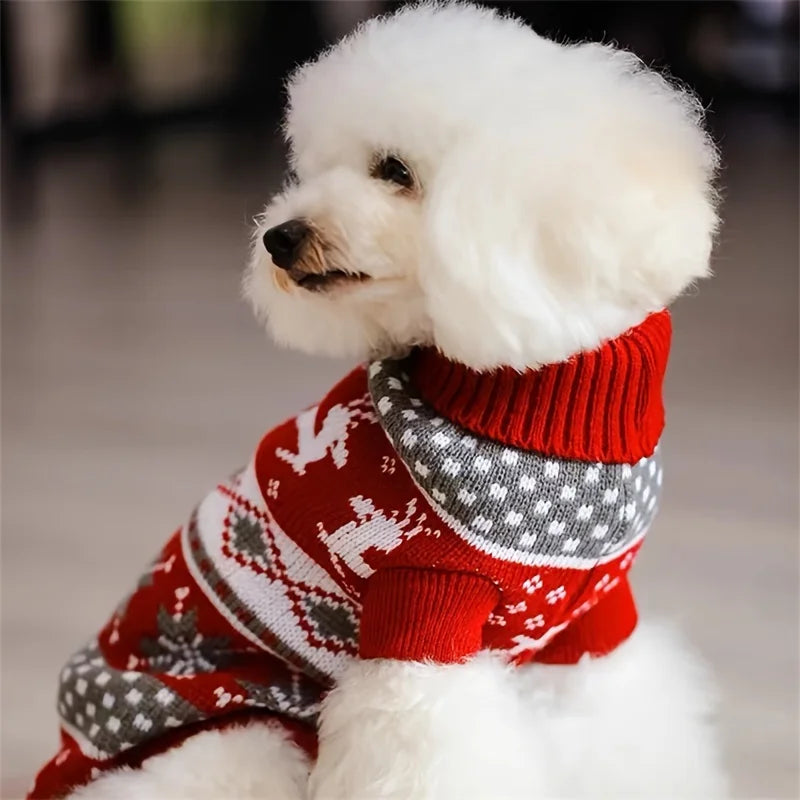 Knitted Christmas sweater for small dogs and cats, featuring a festive holiday design and soft wool material for warmth and comfort.